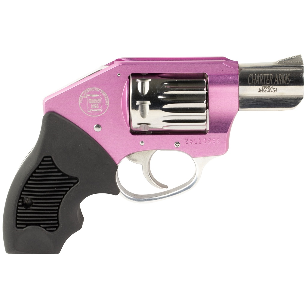 CHARTER ARMS WALKER 22WMR 2" 8RD PNK 1