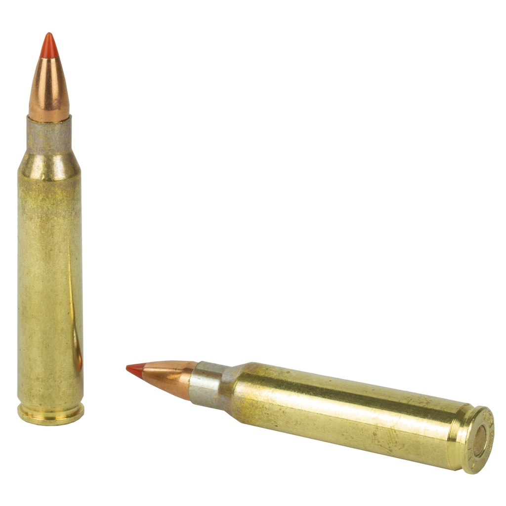 FIOCCHI 223REM 50GR VMAX 50/1000 3