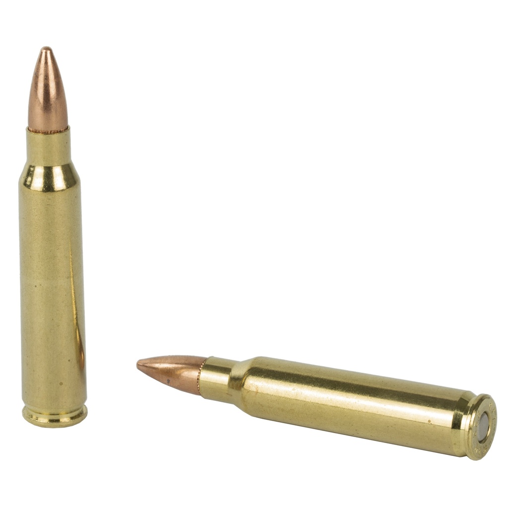 FIOCCHI 223REM 62GR FMJBT 50/1000 3