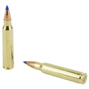 FIOCCHI 223REM 40GR VMAX 50/1000 3