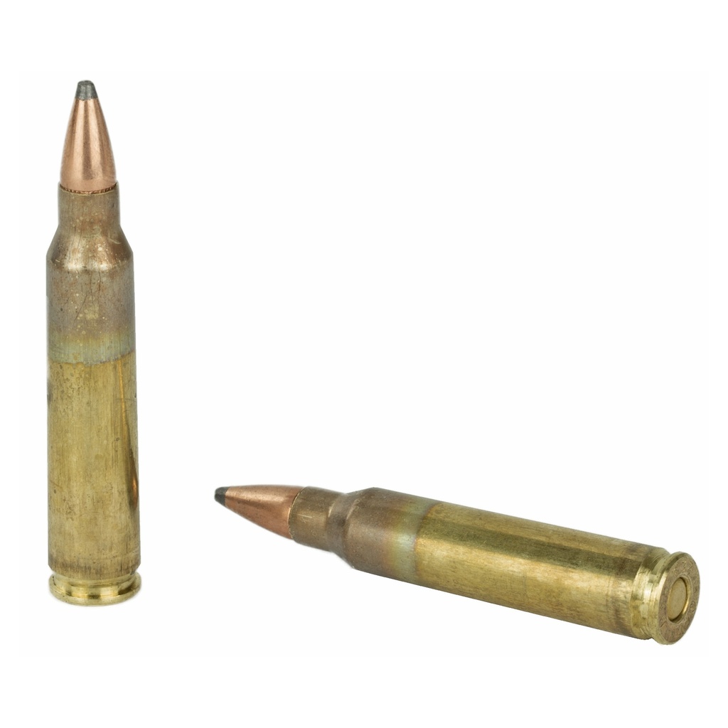 FIOCCHI 223REM 55GR PSP 50/500 3