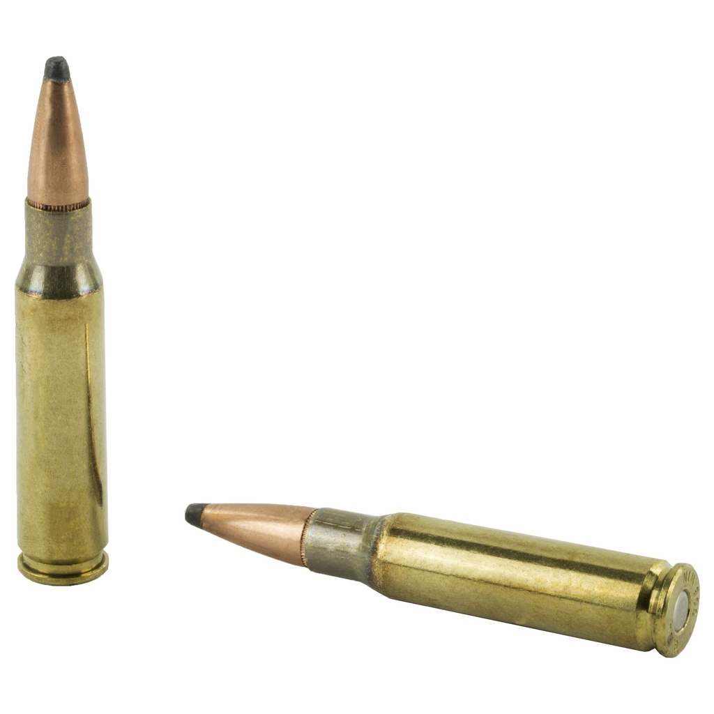 FIOCCHI 308WIN 165GR INT BTSP 20/200 3