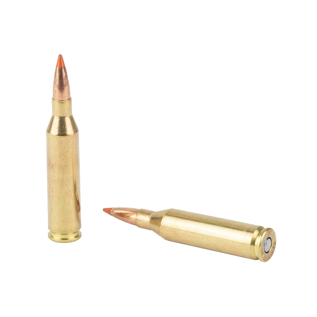 Federal FED FUSION 243WIN 95GR FSP 20/200 3