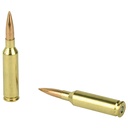 Federal FED GOLD MDL 6MM CM 107GR SMK 20/200 3