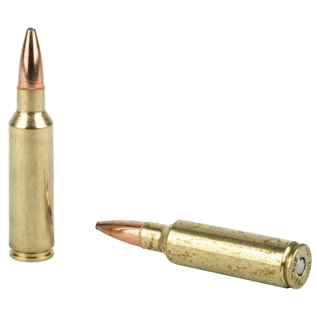Federal FED FUSION 300WSM 180GR 20/200 3