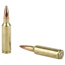 Federal FED FUSION 300WSM 180GR 20/200 3
