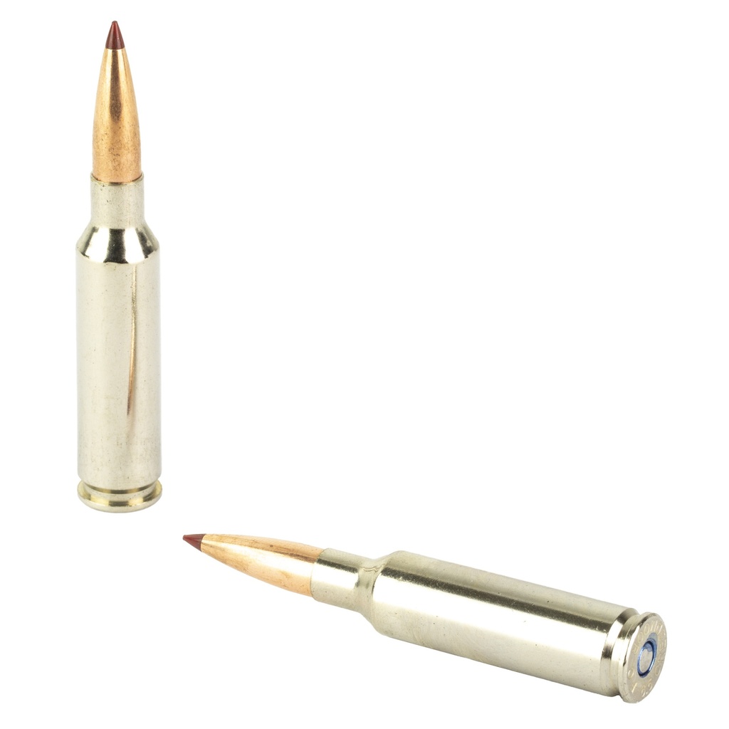 Federal FED PREM 6.5CM 143GR ELD-X 20/200 3