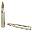 Federal FED PRM 3006 165GR TRPHY CPR 20/200 3