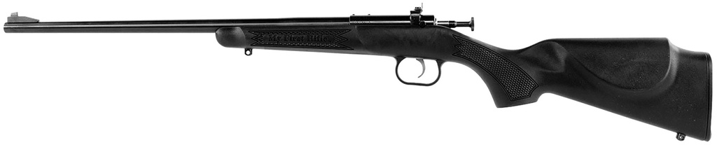 Keystone Sporting Arms Crickett 2