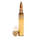 Global Ordnance GO 556NATO M193 55GR FMJ 20/1000 1