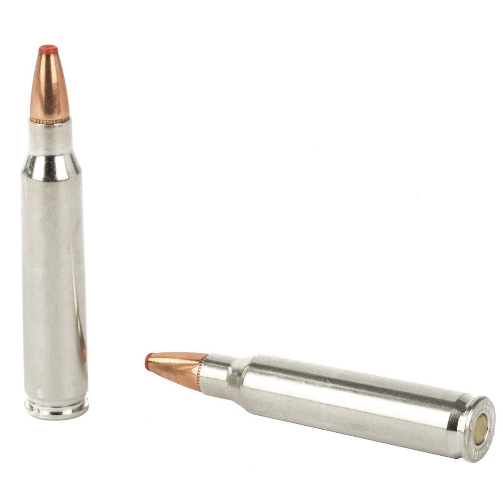 Hornady HRNDY CD 223REM 55GR FTX 20/200 3