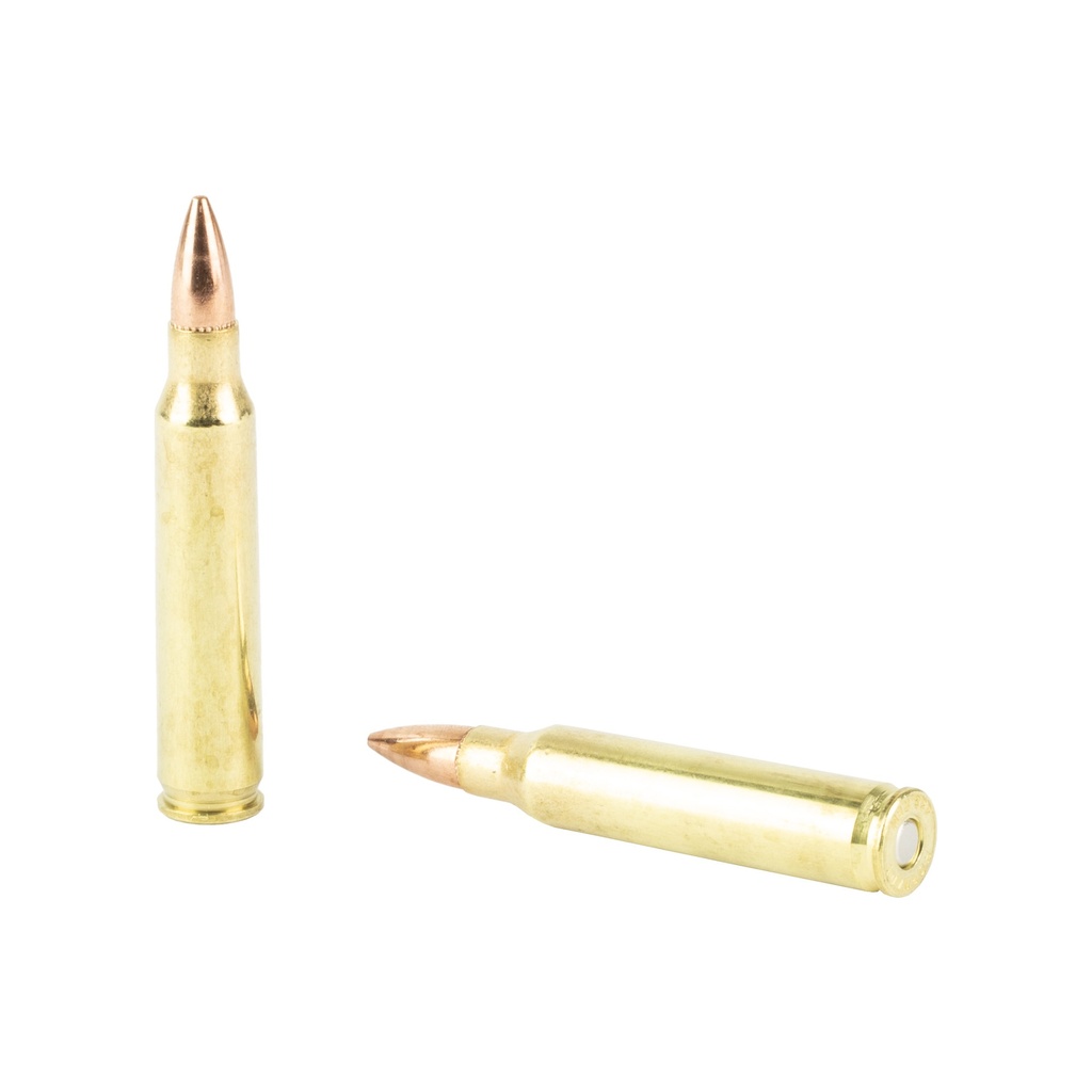Hornady HRNDY 223REM 55GR FMJ 50/500 2