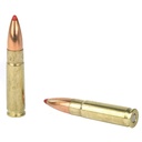 Hornady HRNDY 300BLK 135GR FTX  20/200 3