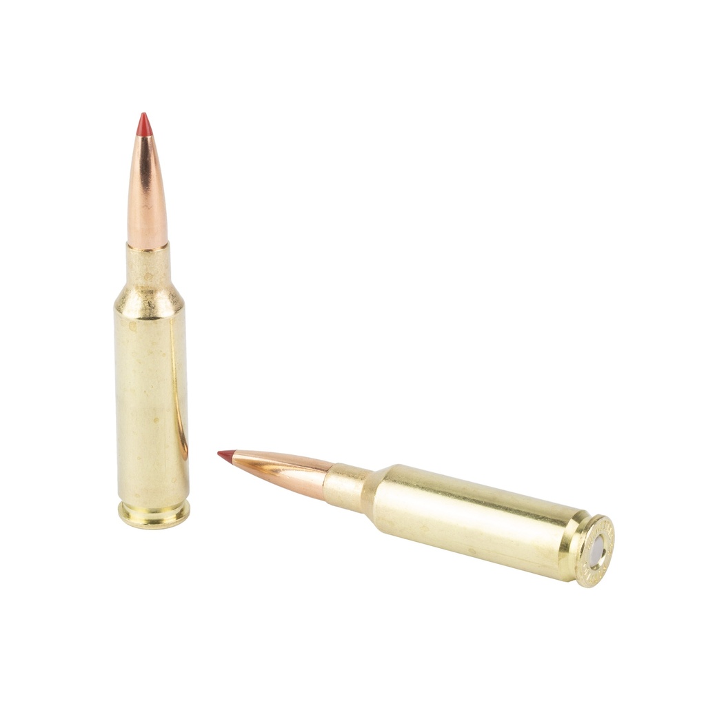 Hornady HRNDY SF 25CM 112GR CX 20/200 3