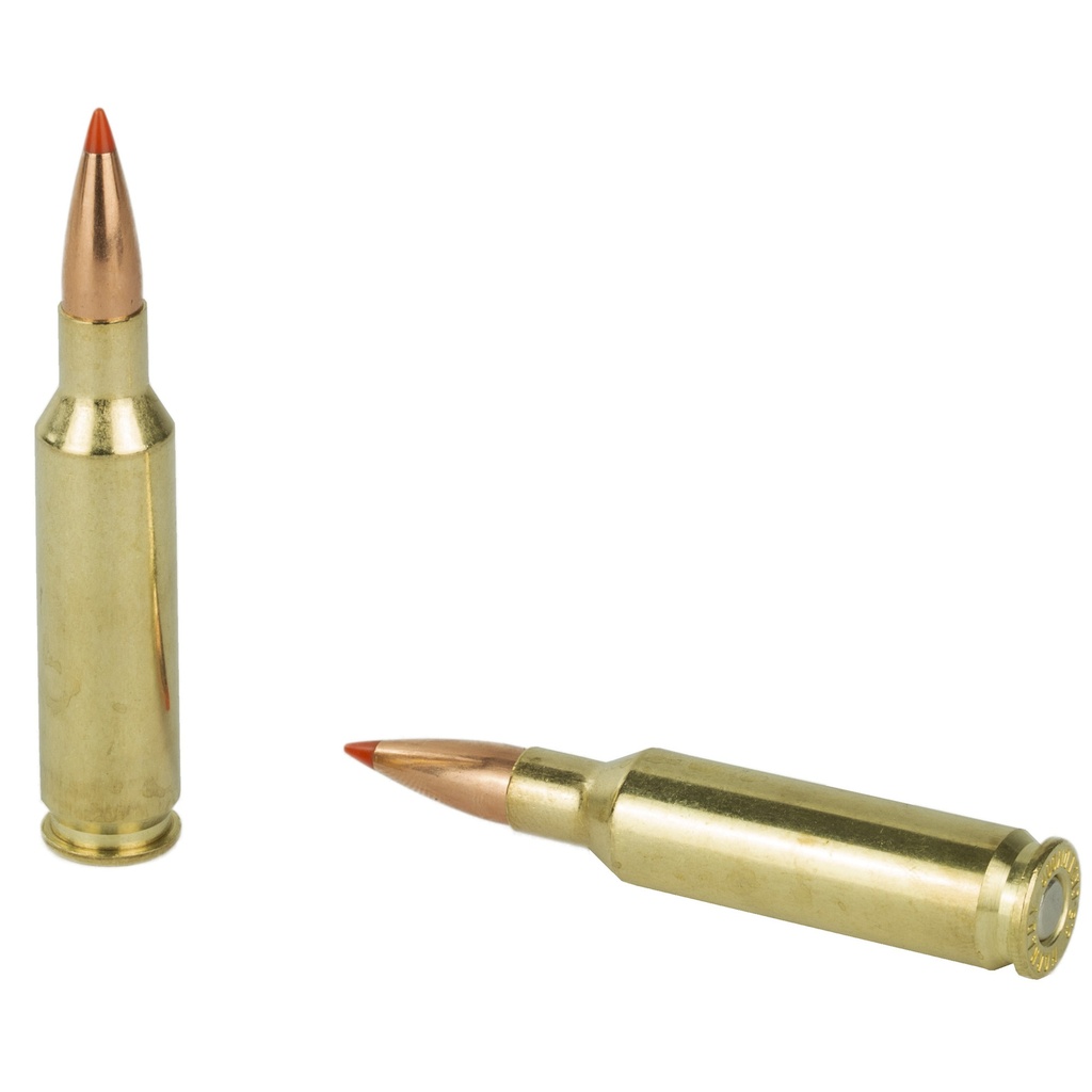 Hornady HRNDY 6.5CM 95GR VMAX 20/200 3
