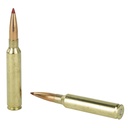 Hornady HRNDY MTCH 300PRC 225GR ELD-M 20/200 3