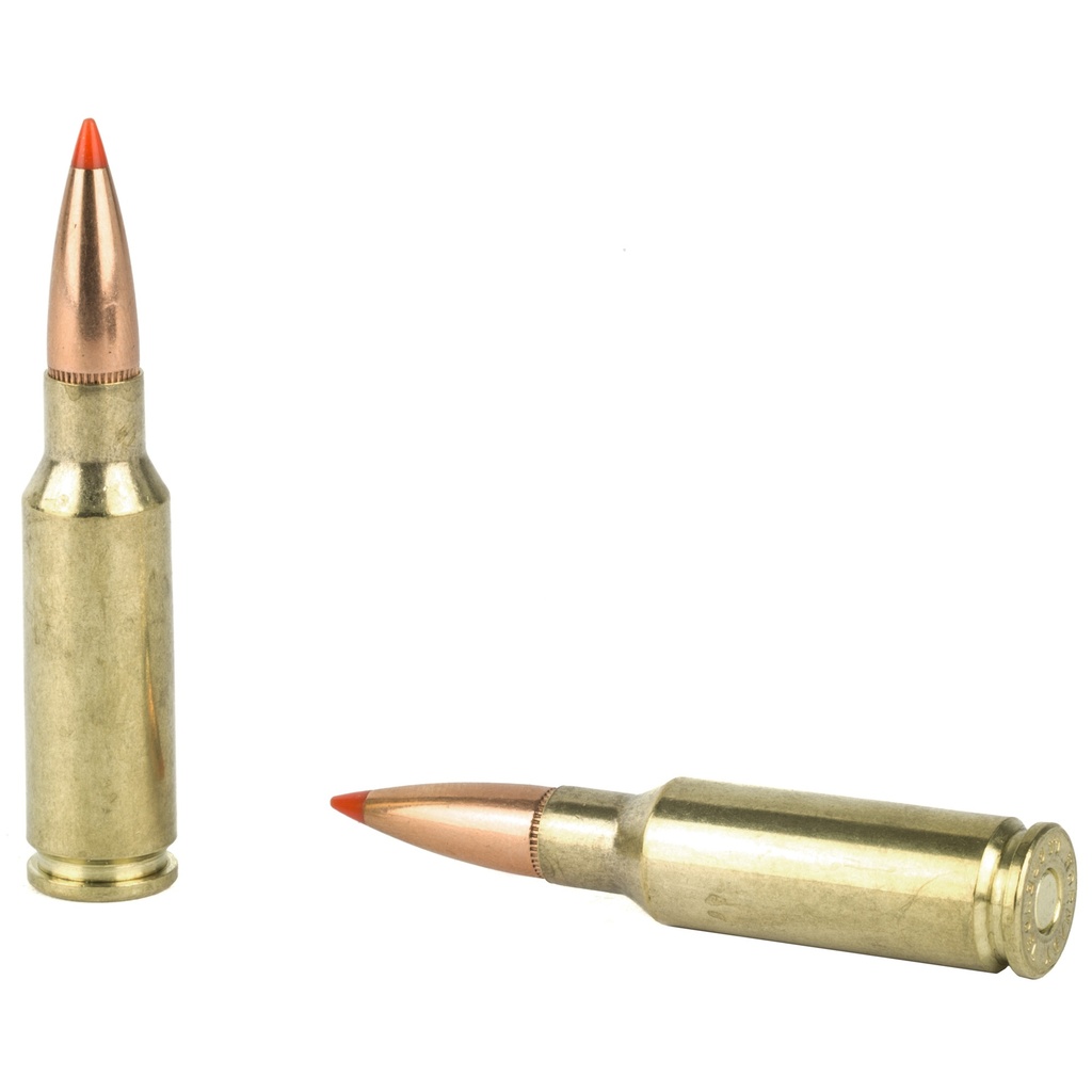 Hornady HRNDY 6.5GRENDEL 123GR SST 20/200 3
