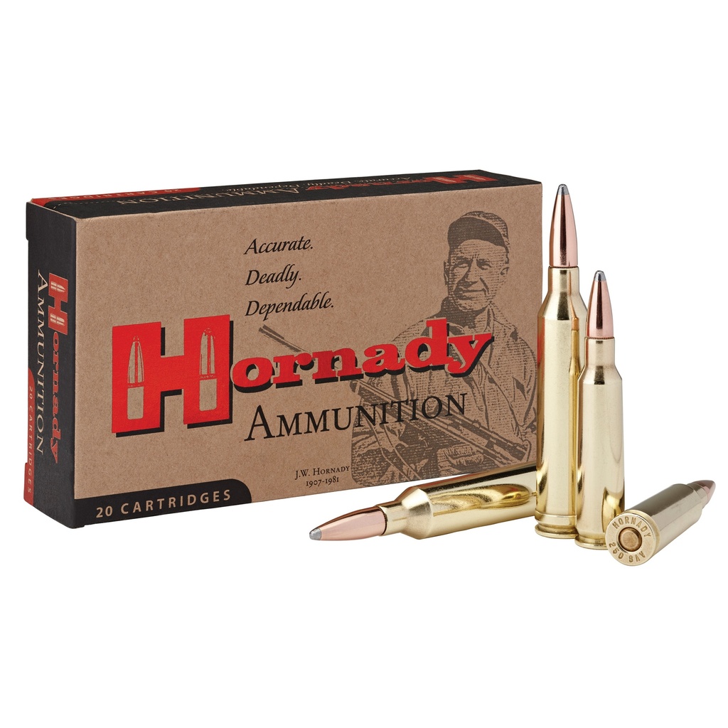 Hornady HRNDY 250 SAVAGE 100GR SP INT 20/200 1