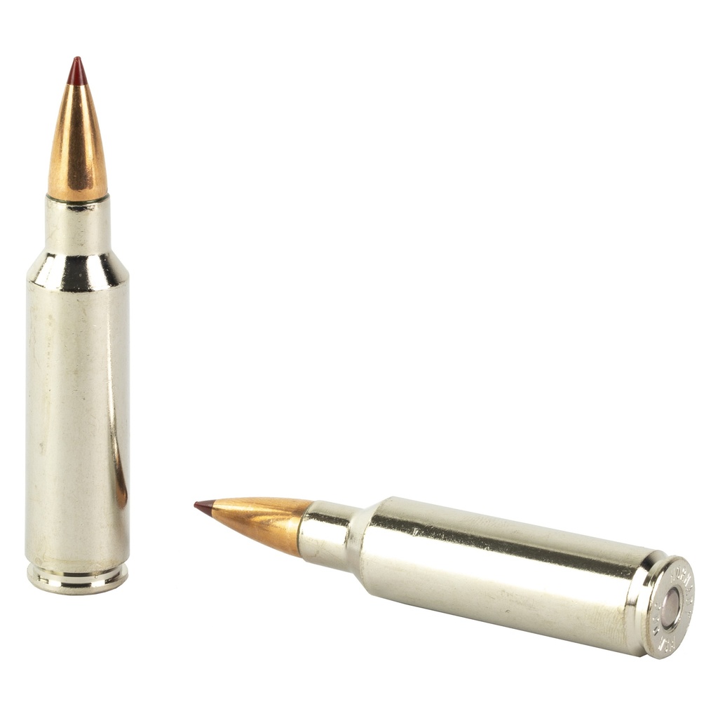 Hornady HRNDY OUTF 300WSM 180GR CX 20/200 3