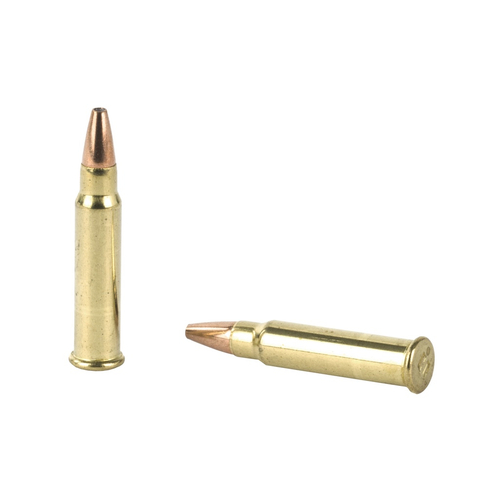 Hornady HRNDY 17HMR 20GR XTP 50/2000 3