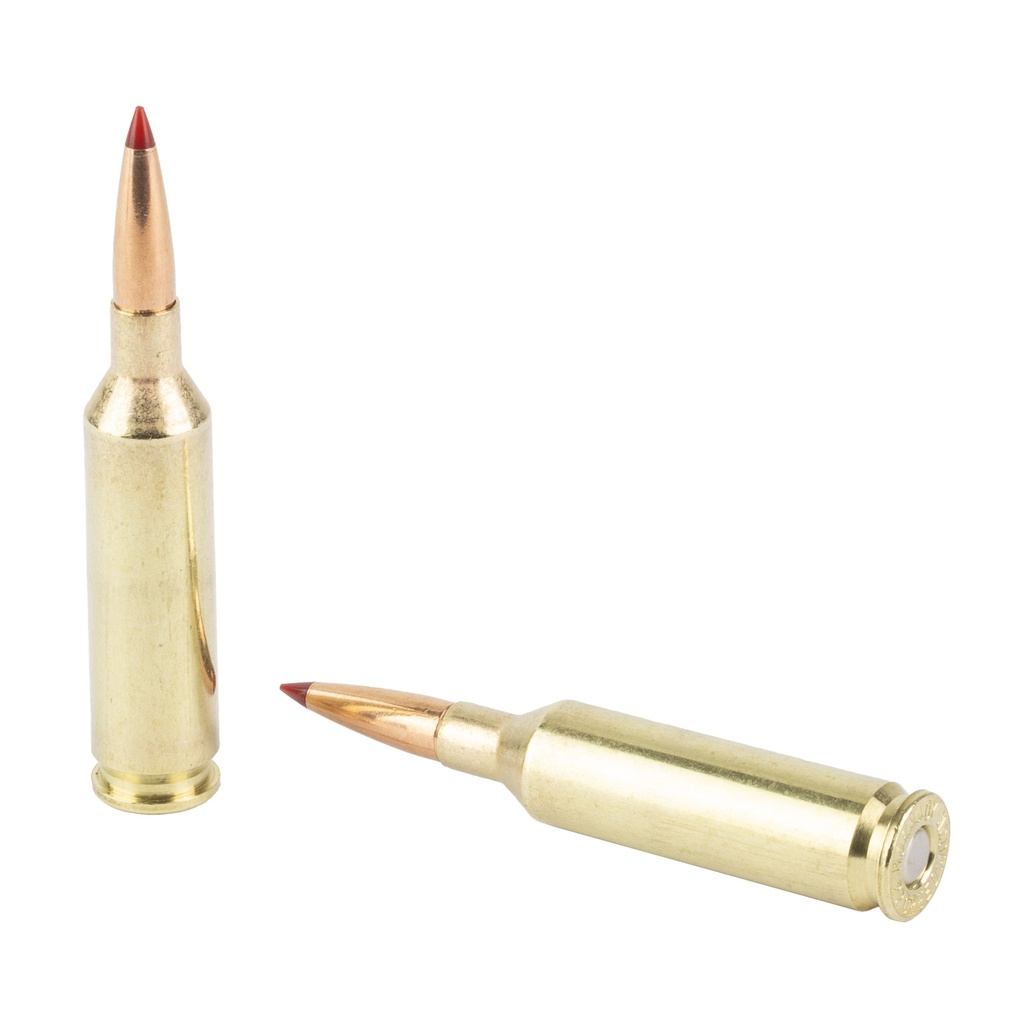 Hornady HRNDY SF 22CM 65GR CX 20/200 3
