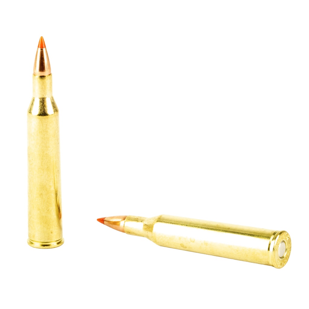 Hornady HRNDY 220 SWFT 55GR VMAX 20/200 3