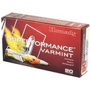 Hornady HRNDY 204RUG 24GR NTX 20/200 2