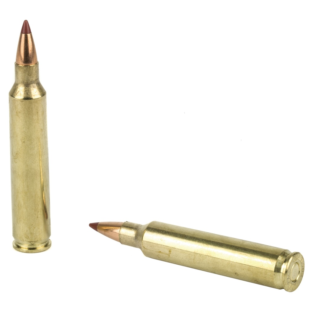Hornady HRNDY 204RUG 24GR NTX 20/200 3