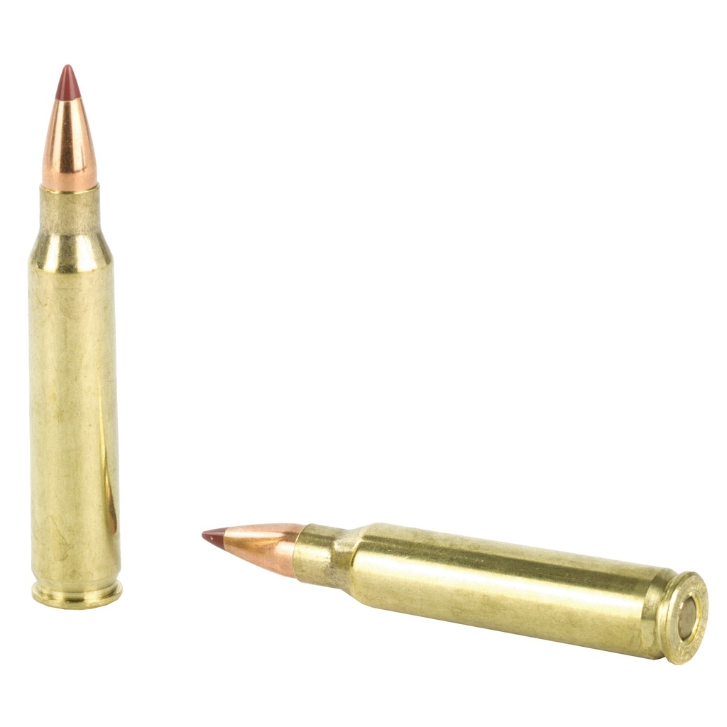 Hornady HRNDY 223REM 35GR NTX 20/200 3