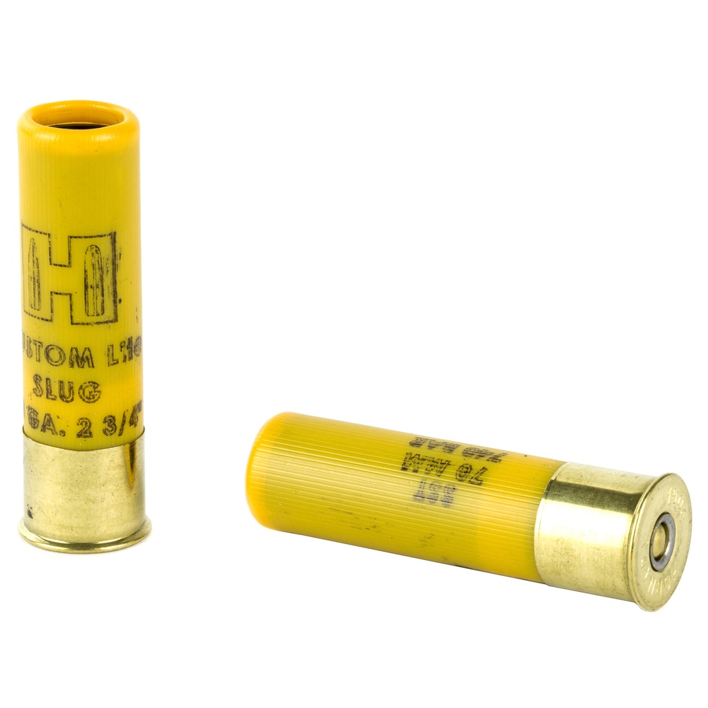 Hornady HRNDY 20GA SLUG 250 FTX LITE 5/100 3