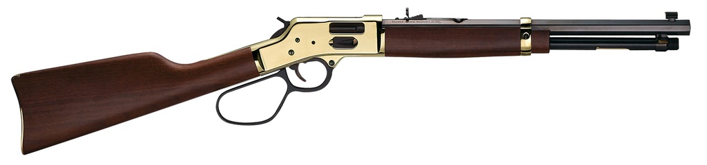 Henry Repeating Arms H6 Big Boy Carbine 1