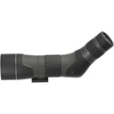 Leupold LEUP SX-2 ALPINE HD G2 20-60X60 ANG 1