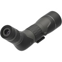 Leupold LEUP SX-2 ALPINE HD G2 20-60X60 ANG 2
