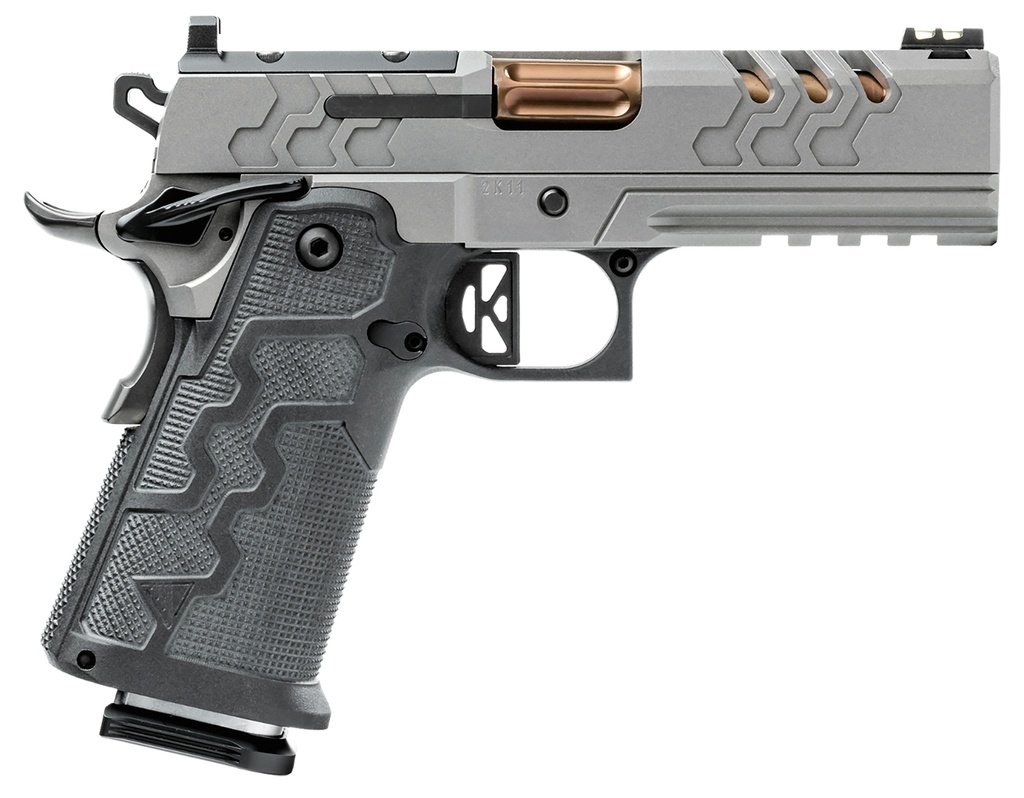 Kimber 2K11 Pro Stainless 1