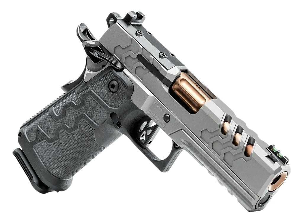 Kimber 2K11 Pro Stainless 3