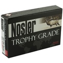 NOSLER 30-06 165GR AB 20/200 1