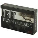 NOSLER 30-06 165GR AB 20/200 2