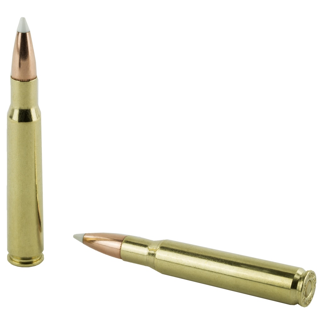 NOSLER 30-06 165GR AB 20/200 3