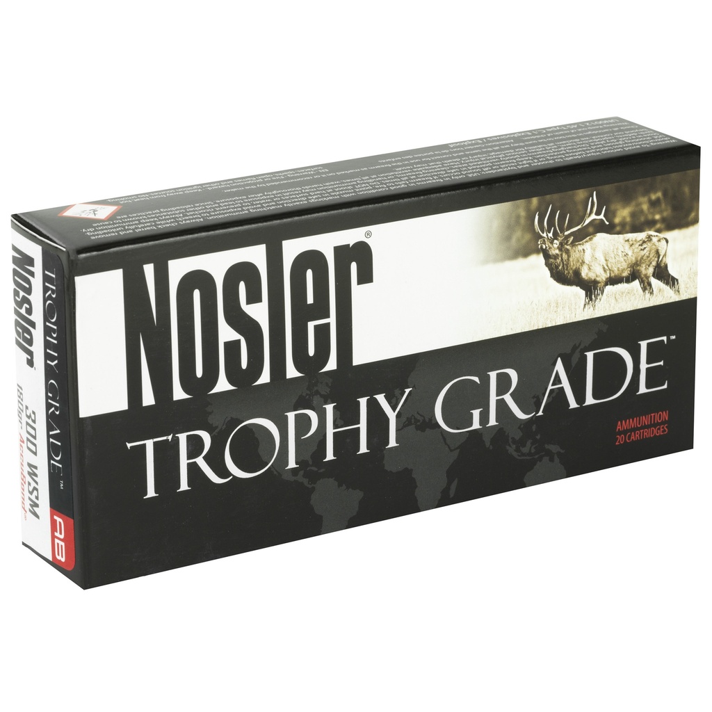 NOSLER 300WSM 180GR AB 20/200 1