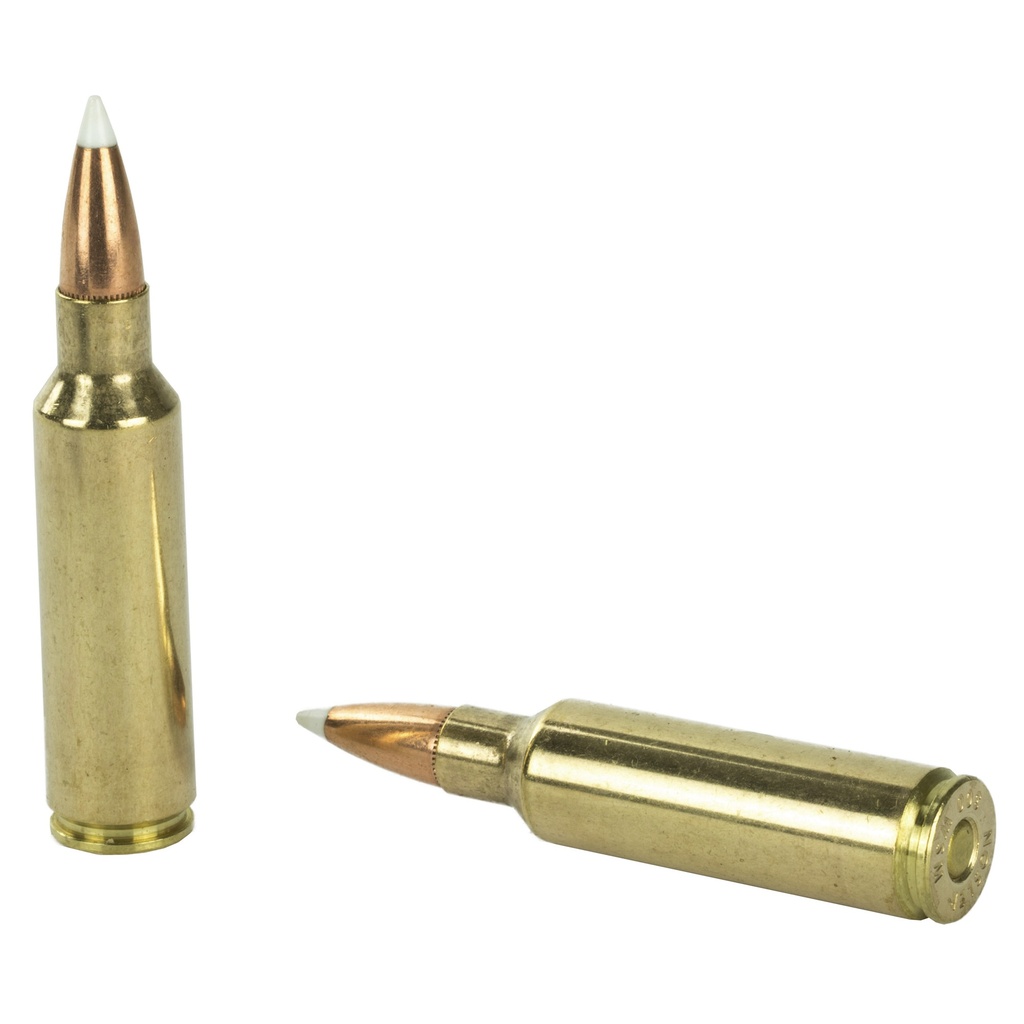 NOSLER 300WSM 180GR AB 20/200 3