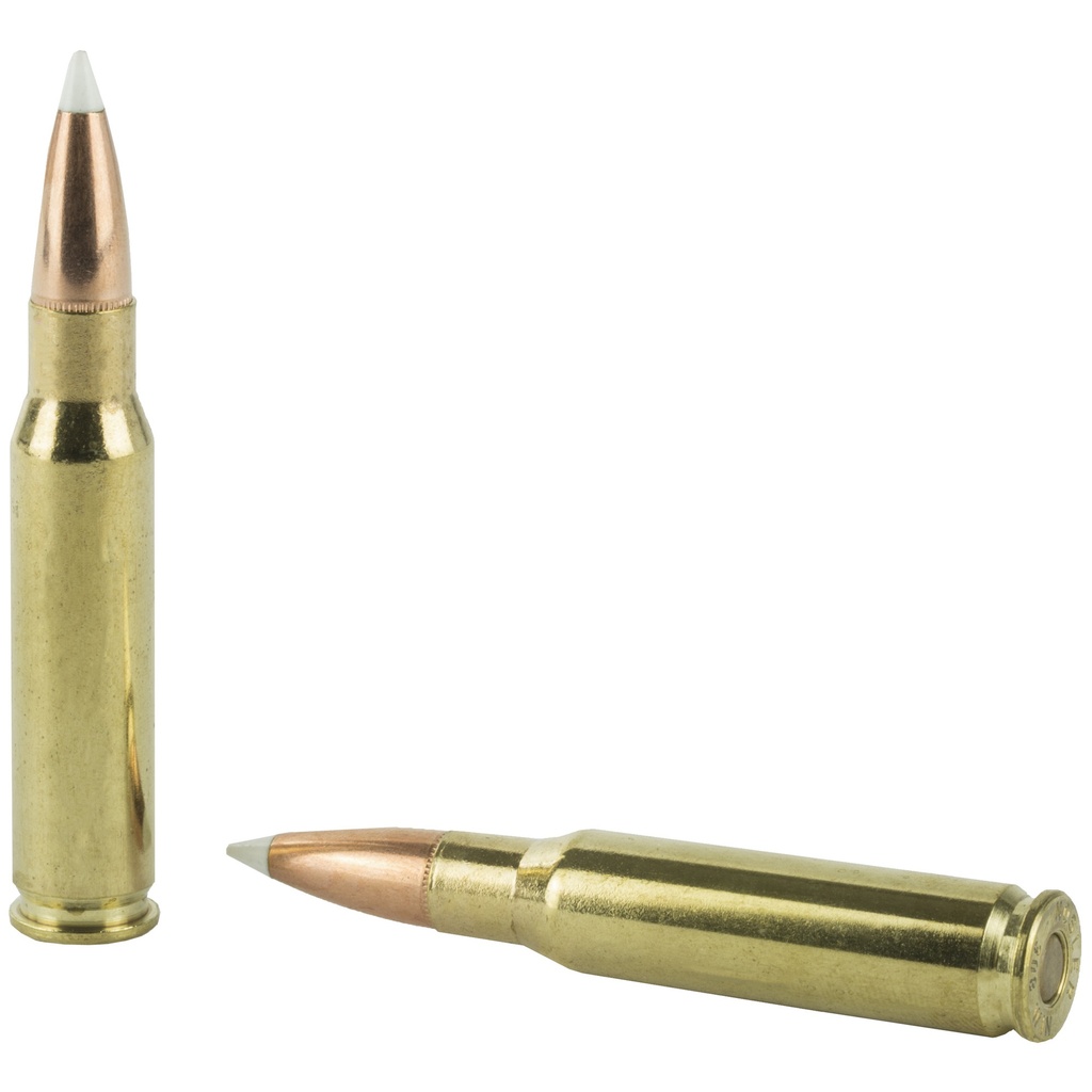 NOSLER 308WIN 150GR AB 20/200 3