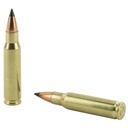 NOSLER VG 308WIN 110GR FB TIP 20/200 3