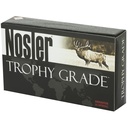NOSLER 308WIN 165GR AB 20/200 2