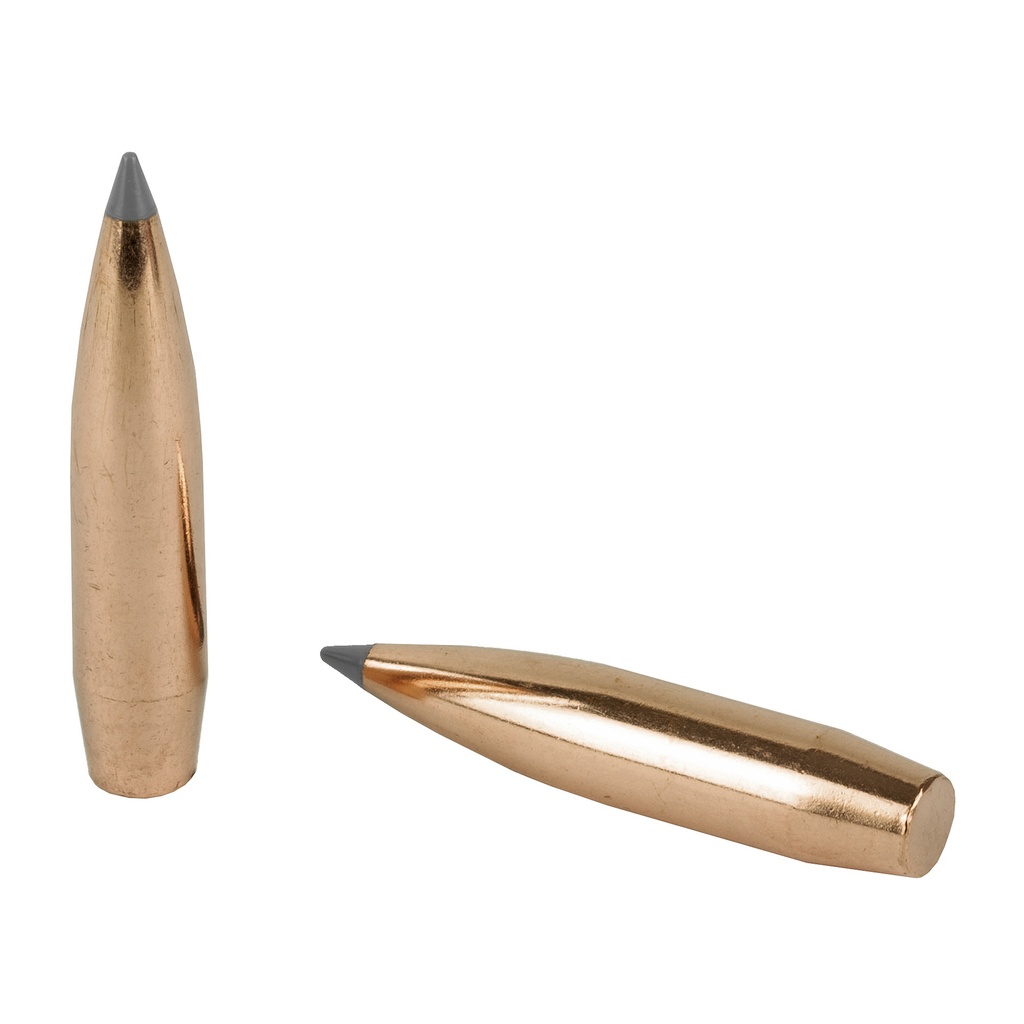 NOSLER ABLR 30 CAL 210GR SP 100CT 3