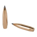 NOSLER ABLR 30 CAL 210GR SP 100CT 3