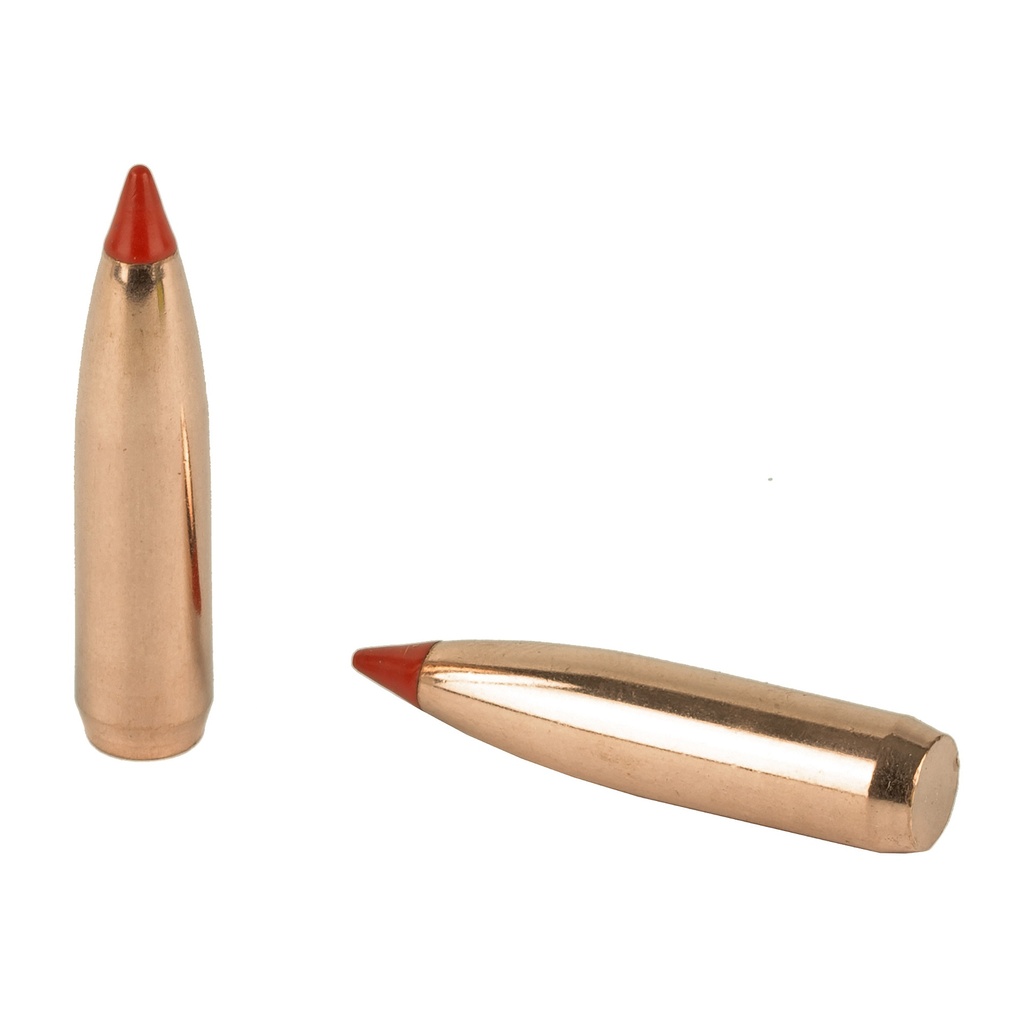 NOSLER 7MM 150GR BALLISTIC TIP 50CT 3