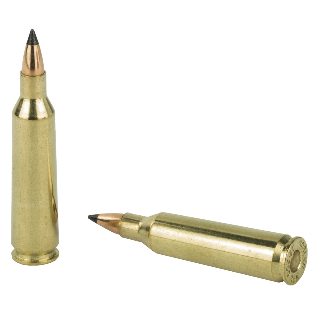NOSLER VG 22-250 55GR FB TIP 20/200 3