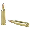 NOSLER VG 22-250 55GR FB TIP 20/200 3