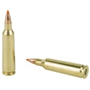 NOSLER 22-250 55GR BT 20/200 3