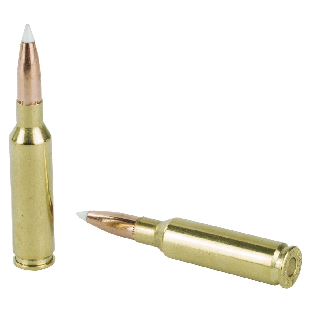 NOSLER 6.5CM 140GR AB 20/200 3